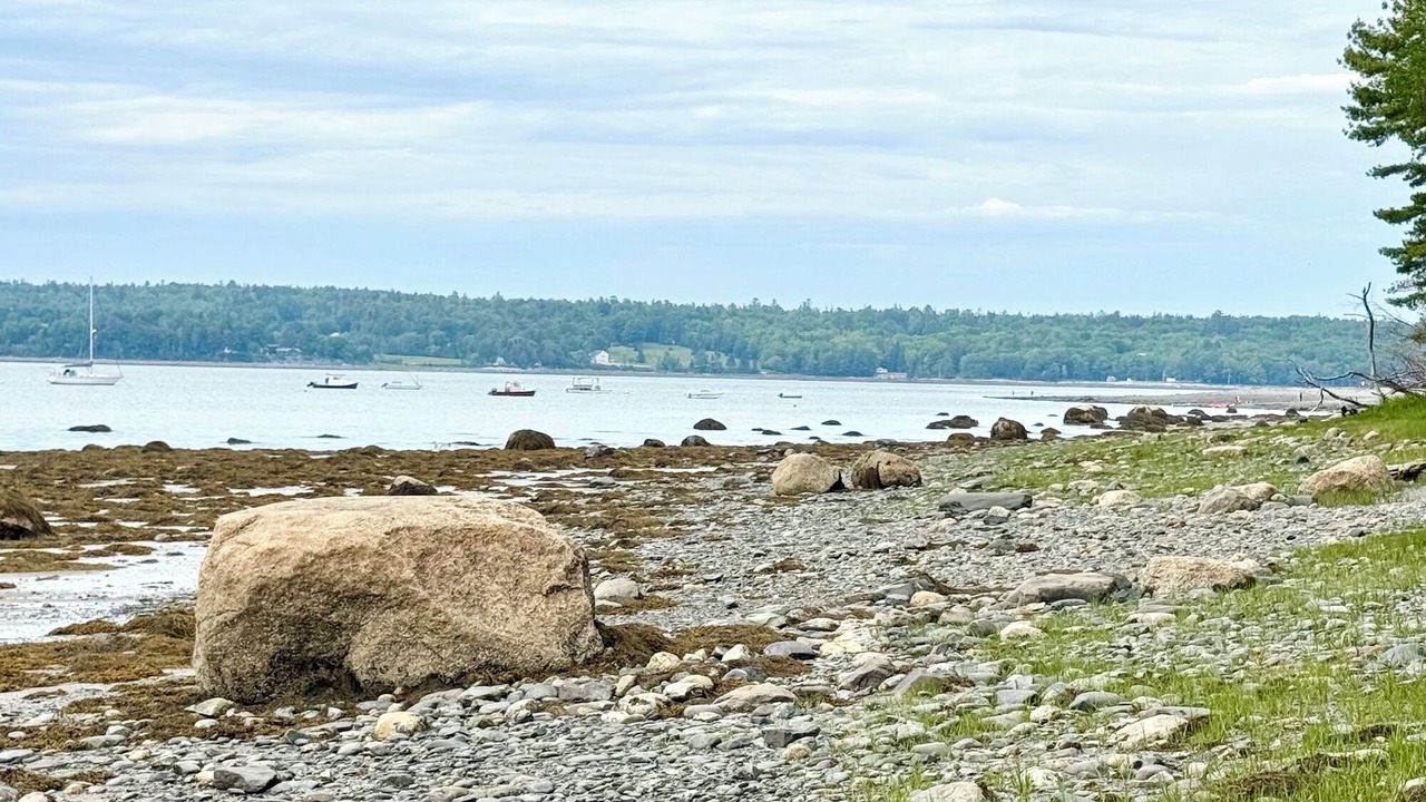 Photo of Others in Bar Harbor