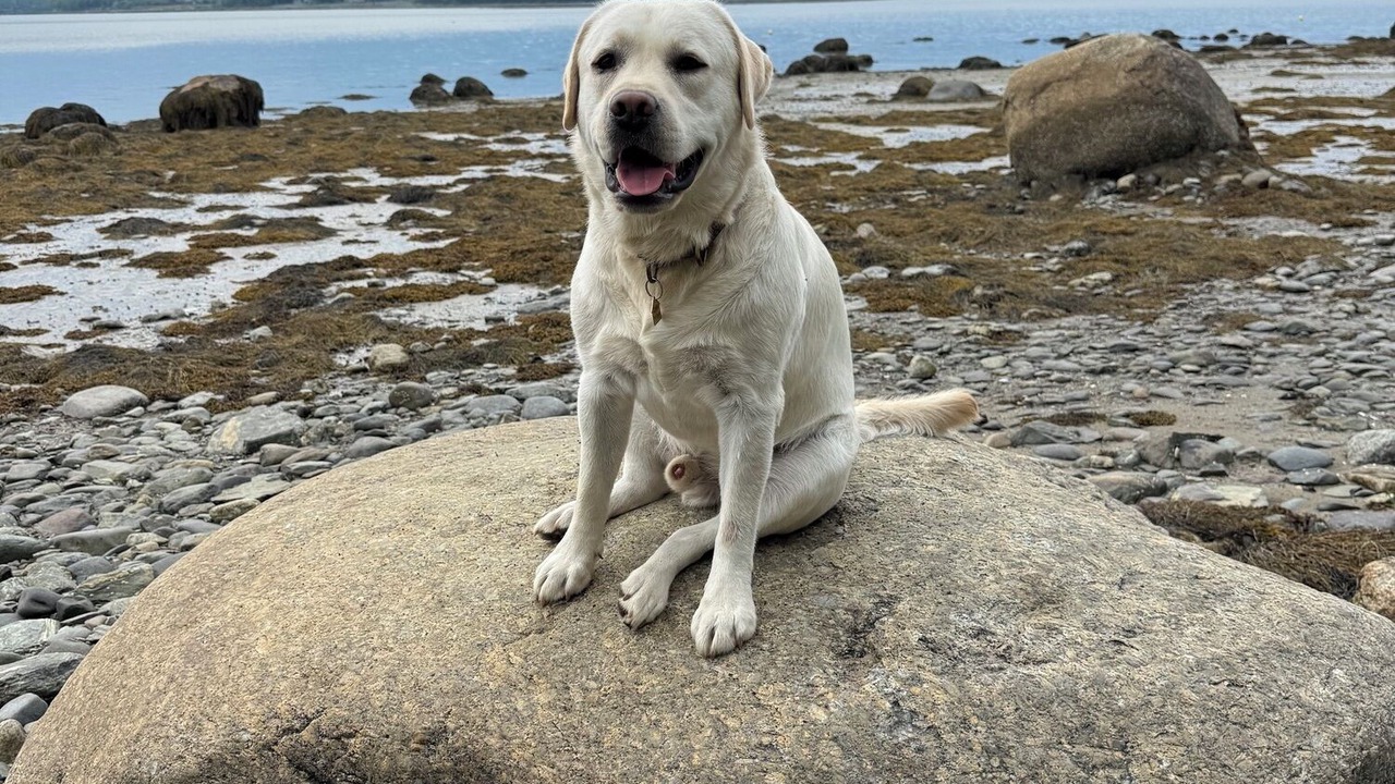 Photo of Others in Bar Harbor
