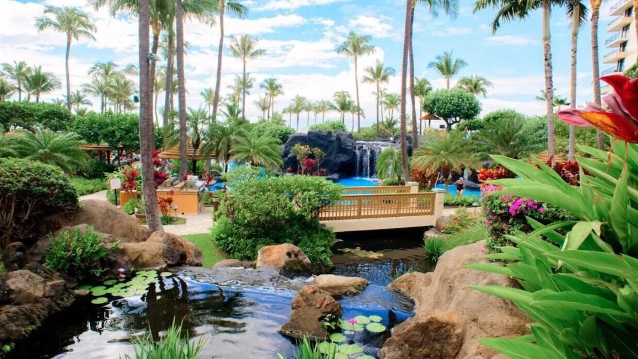 Photo of Outdoor in Lahaina