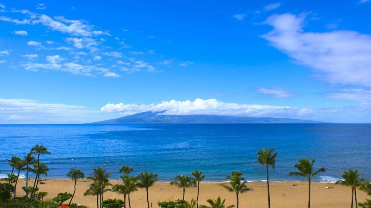 Photo of Others in Lahaina
