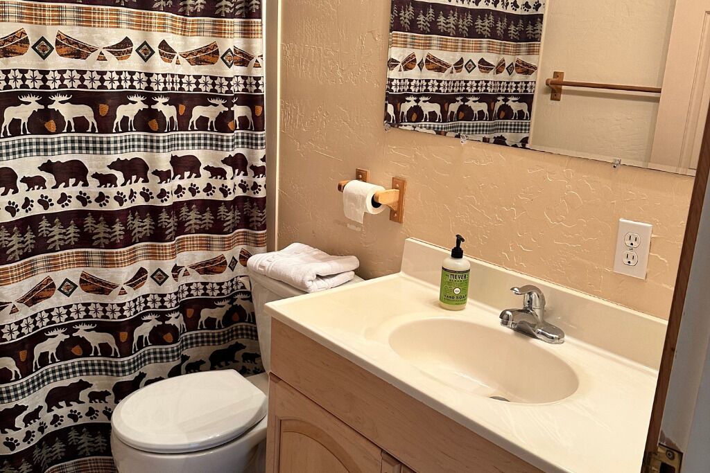 Photo of Bathroom in Homer