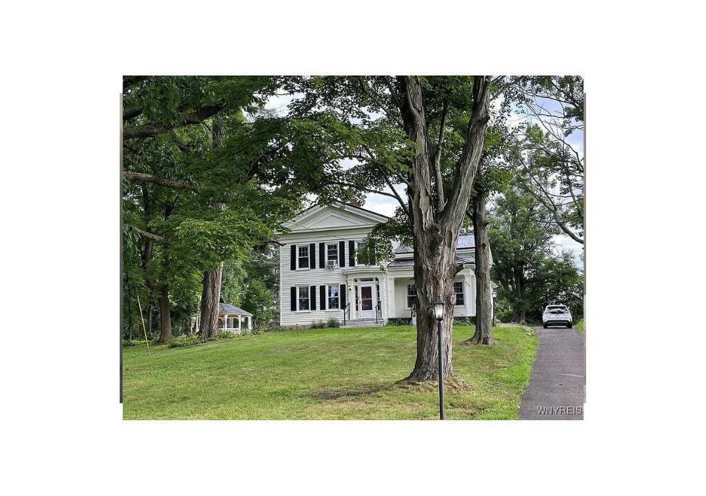 Photo of Outdoor in Orchard Park