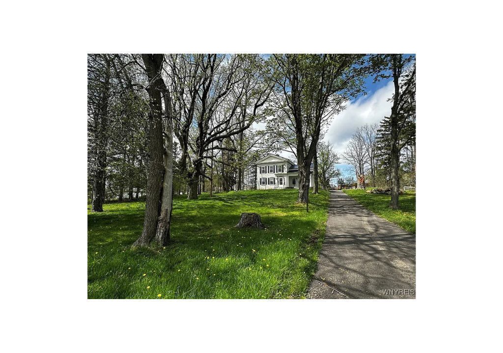 Photo of Outdoor in Orchard Park