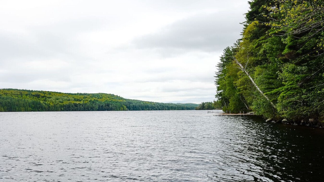 Photo of Others in Bridgton