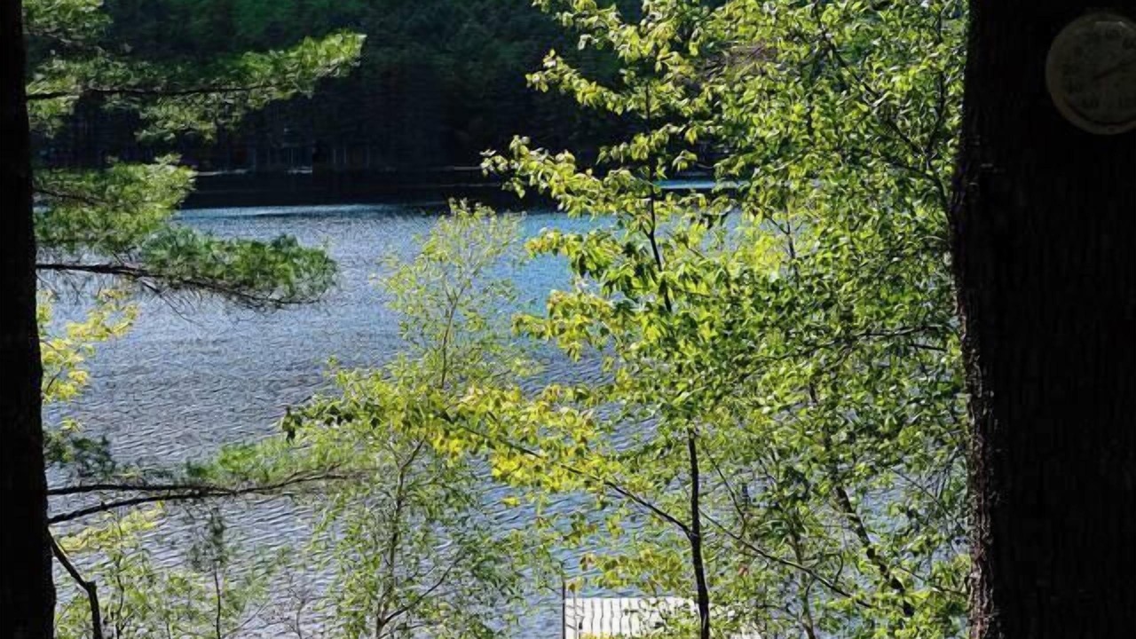 Photo of Others in Bridgton