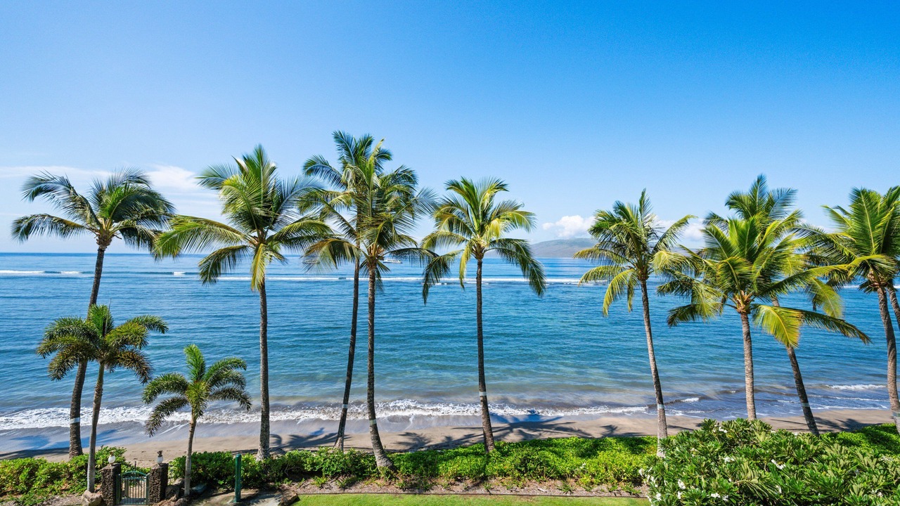 Photo of Others in Historic Lahaina Front Street