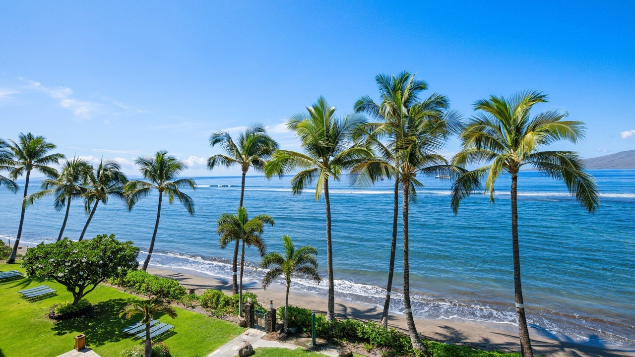 Photo of Others in Historic Lahaina Front Street