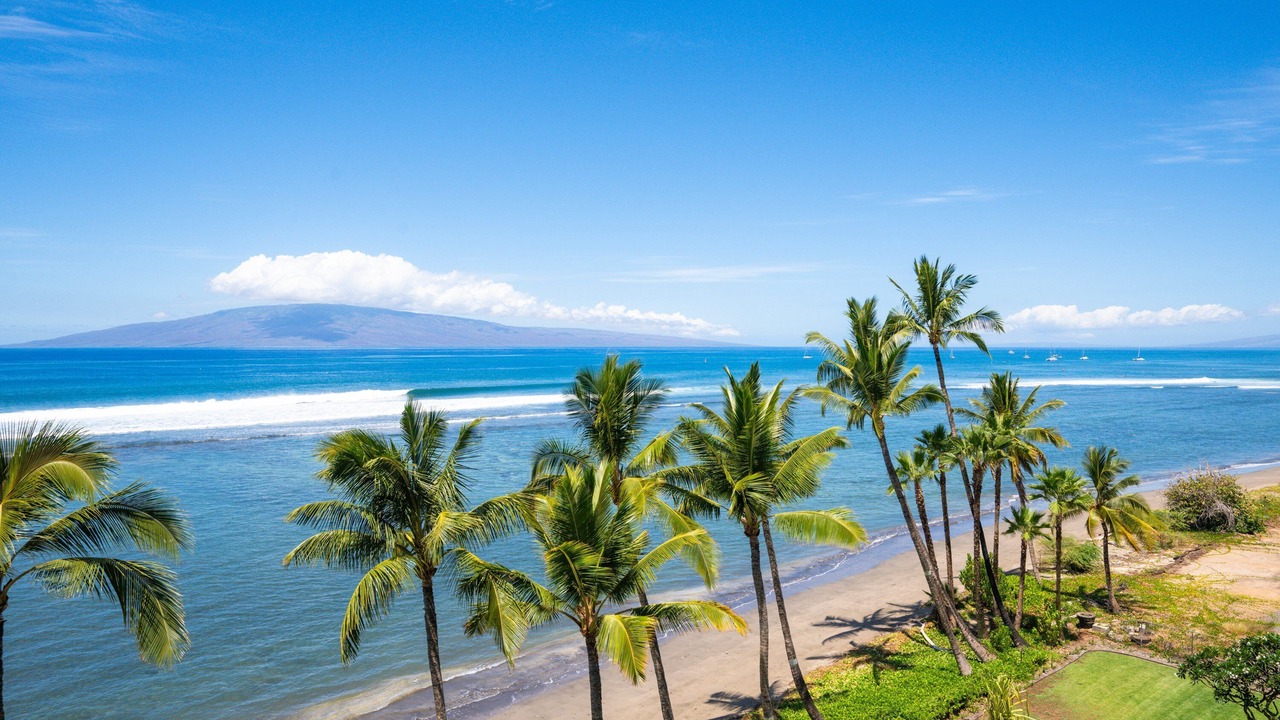 Photo of Others in Historic Lahaina Front Street