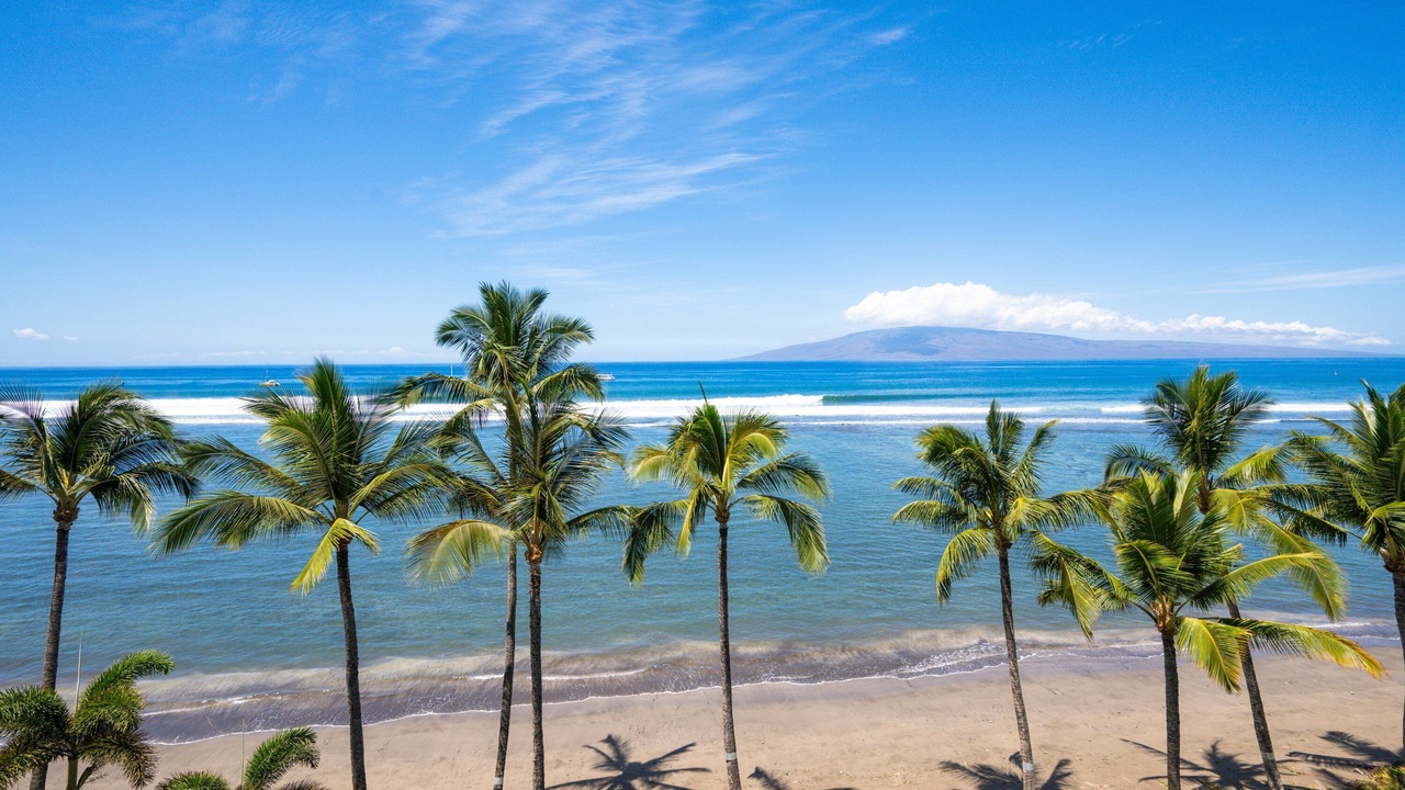 Photo of Others in Historic Lahaina Front Street