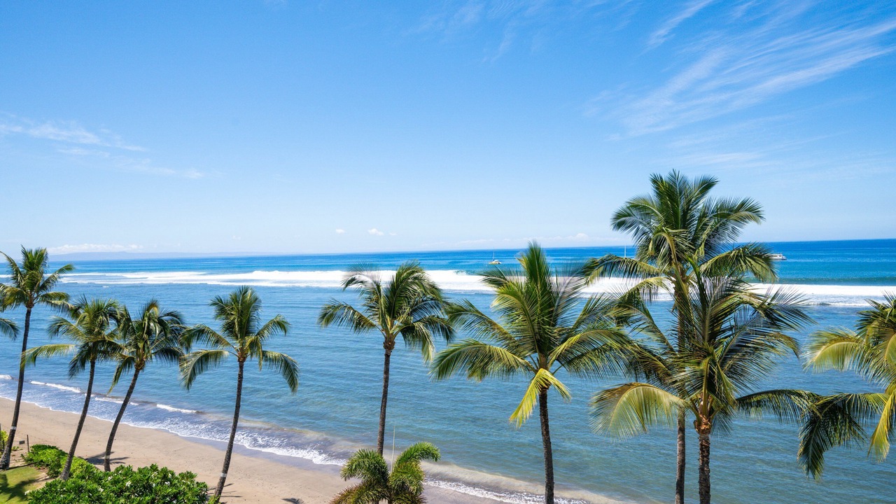 Photo of Others in Historic Lahaina Front Street