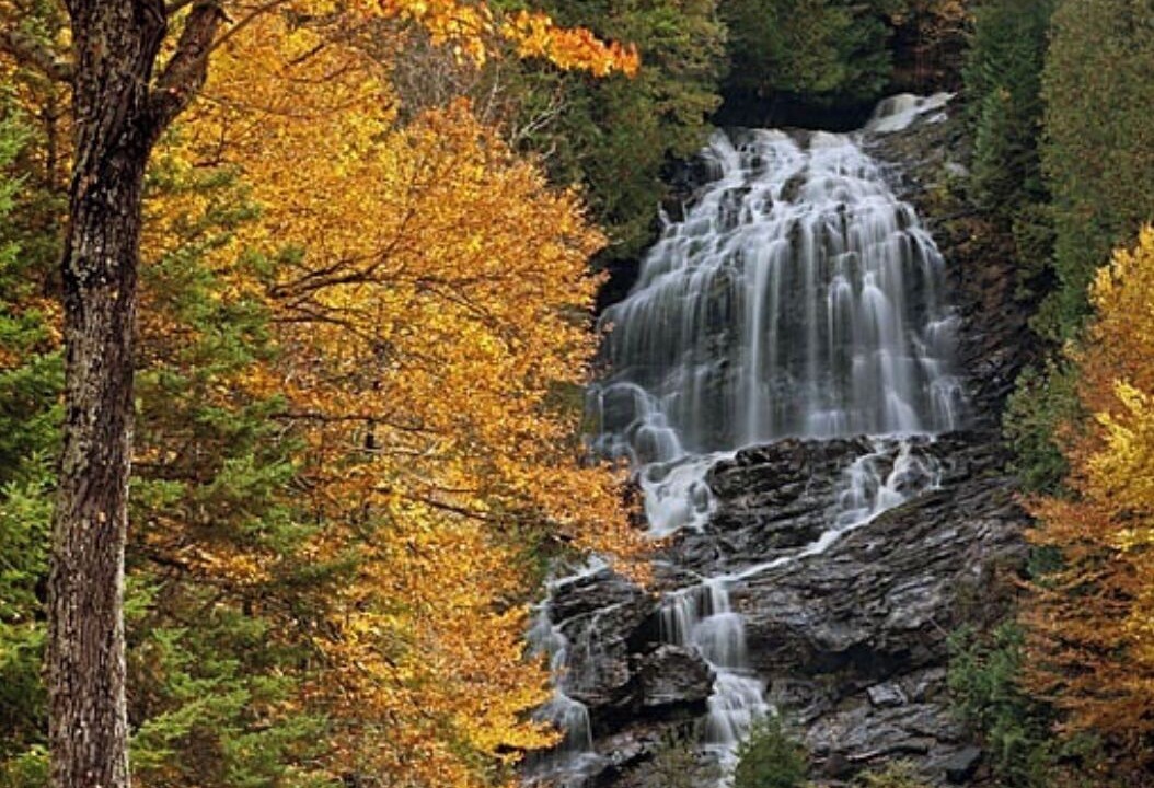Photo of Others in Colebrook