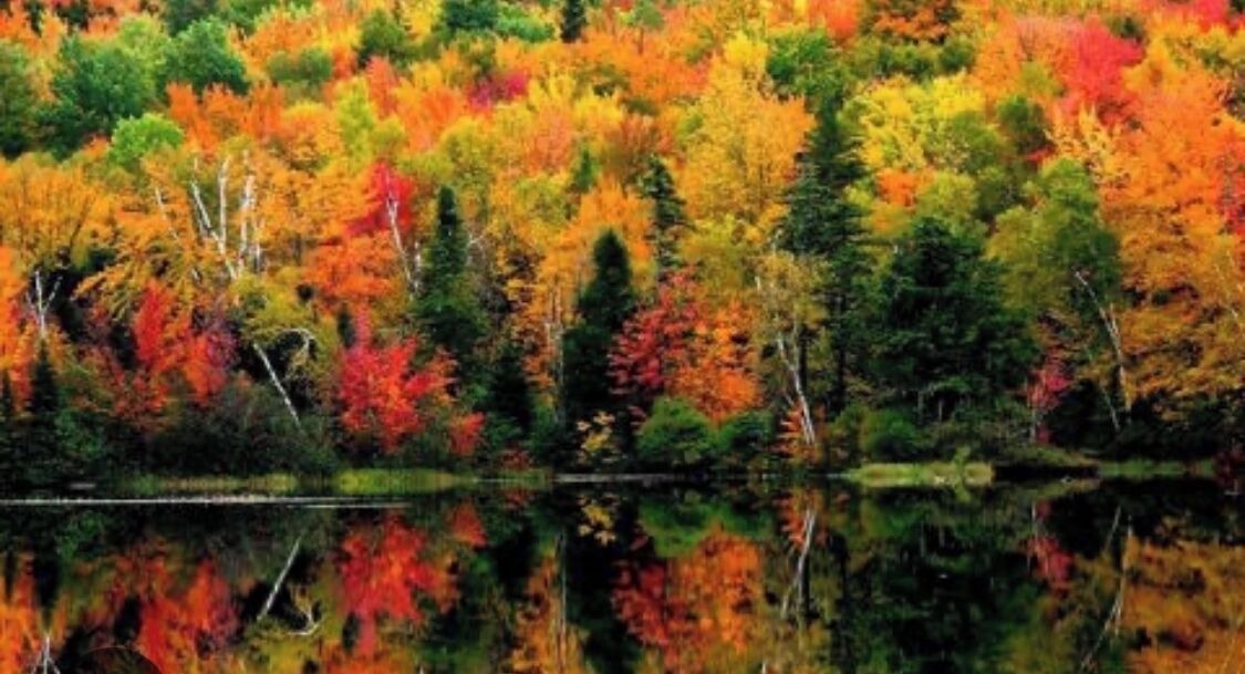 Photo of Others in Colebrook