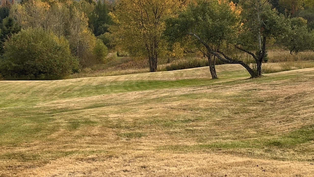 Photo of Others in Colebrook