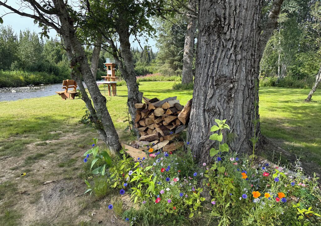 Photo of Outdoor in Anchor Point