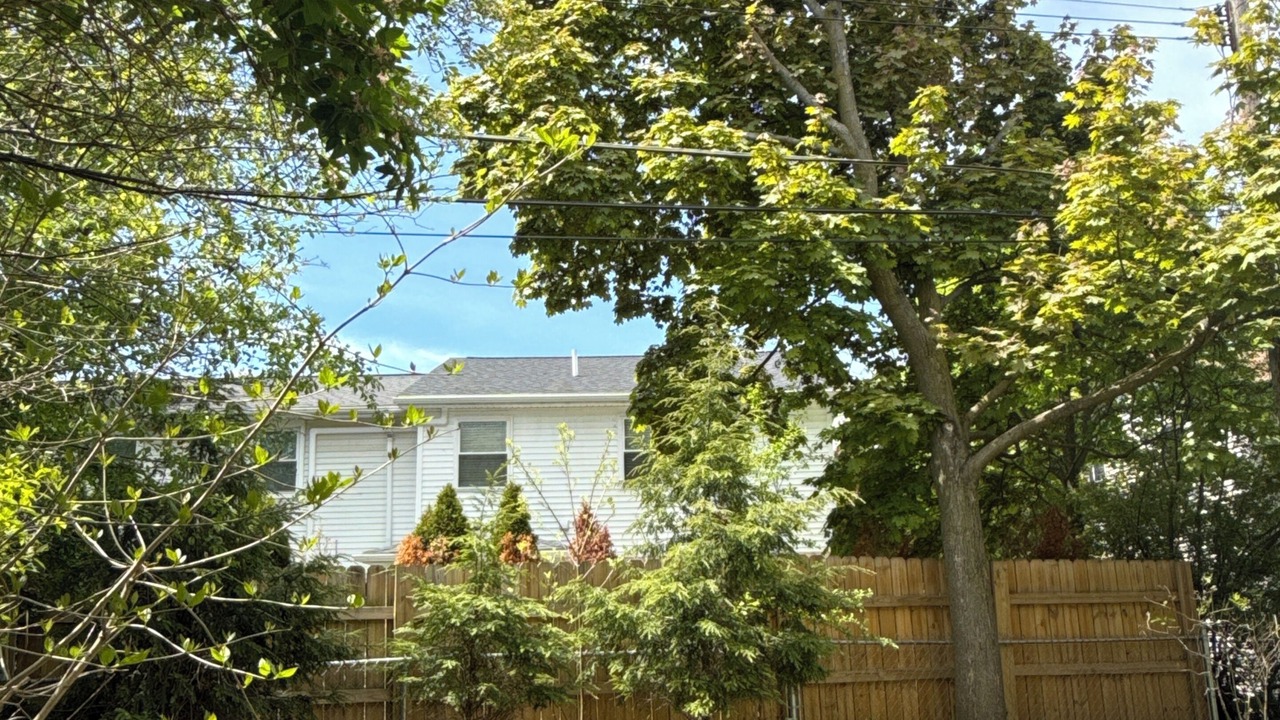 Photo of Outdoor in Amherst