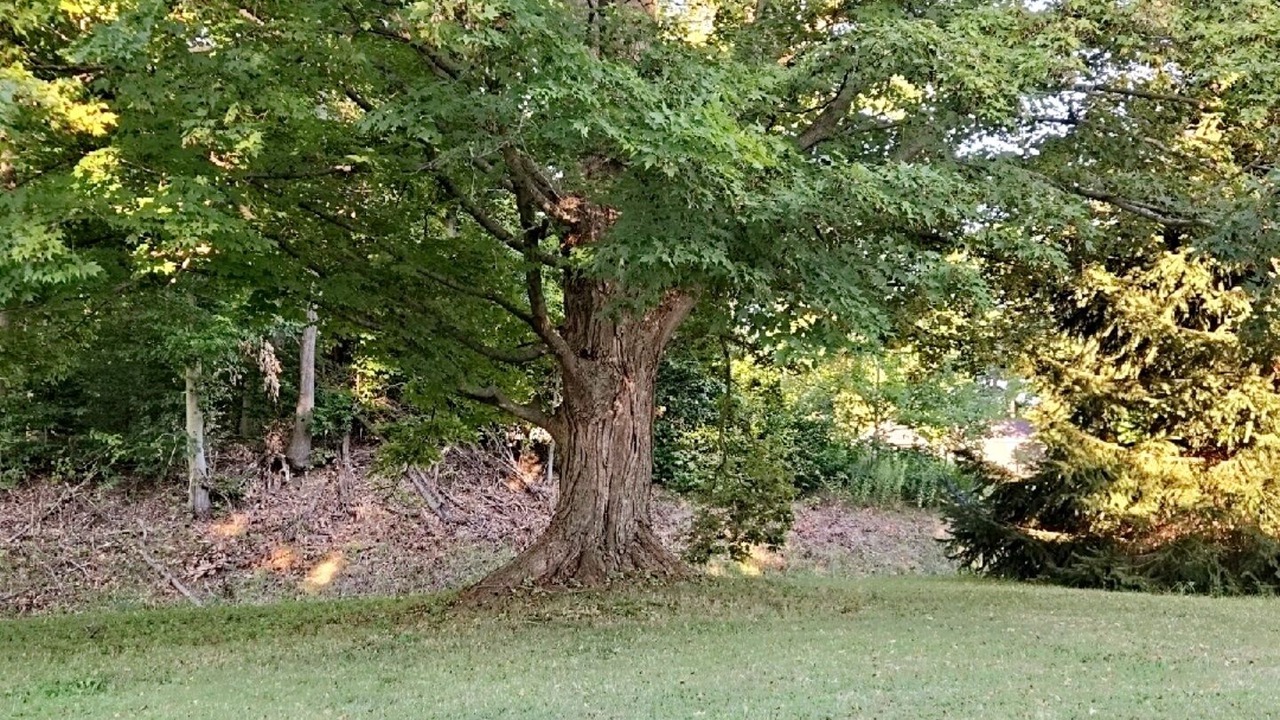 Photo of Others in Grove City