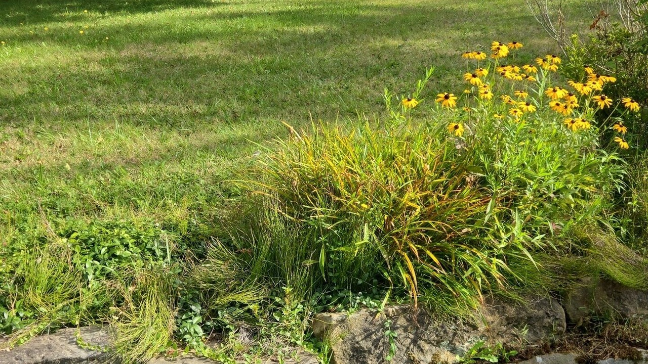 Photo of Outdoor in Grove City