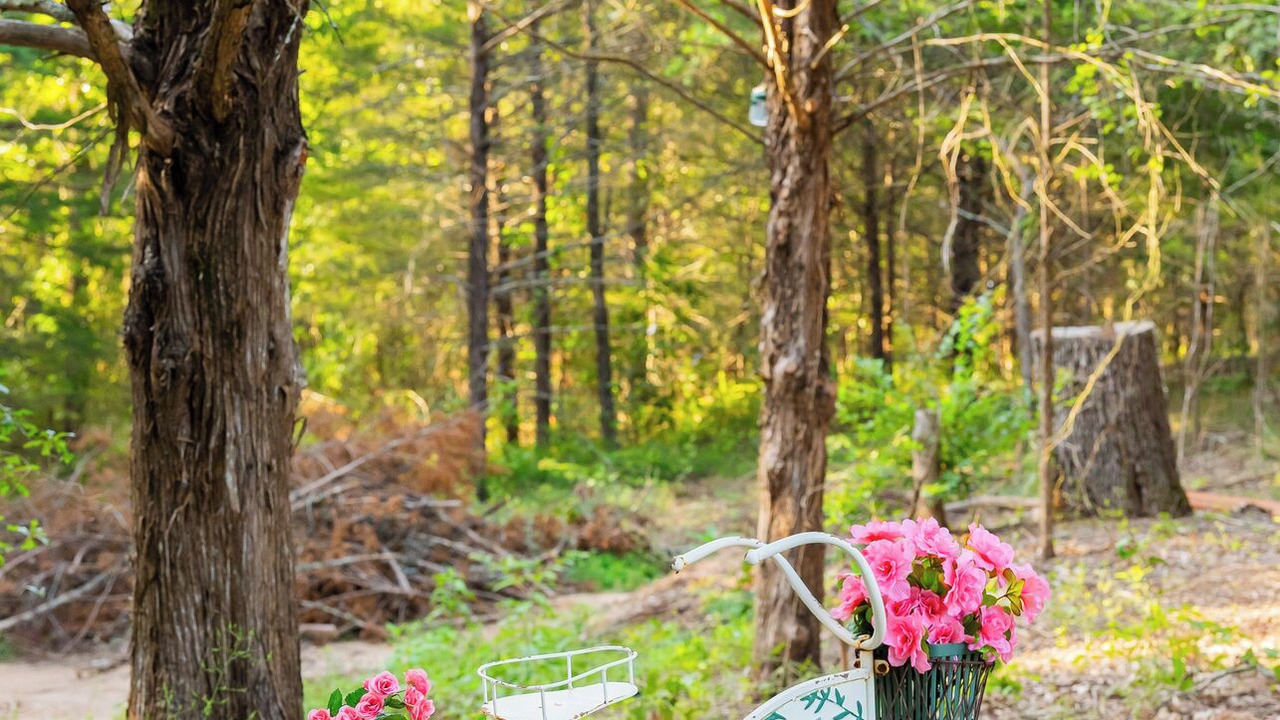 Photo of Others in Honey Grove