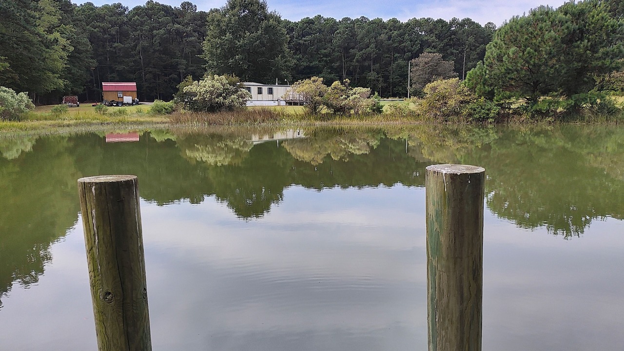 Photo of Others in Port Haywood