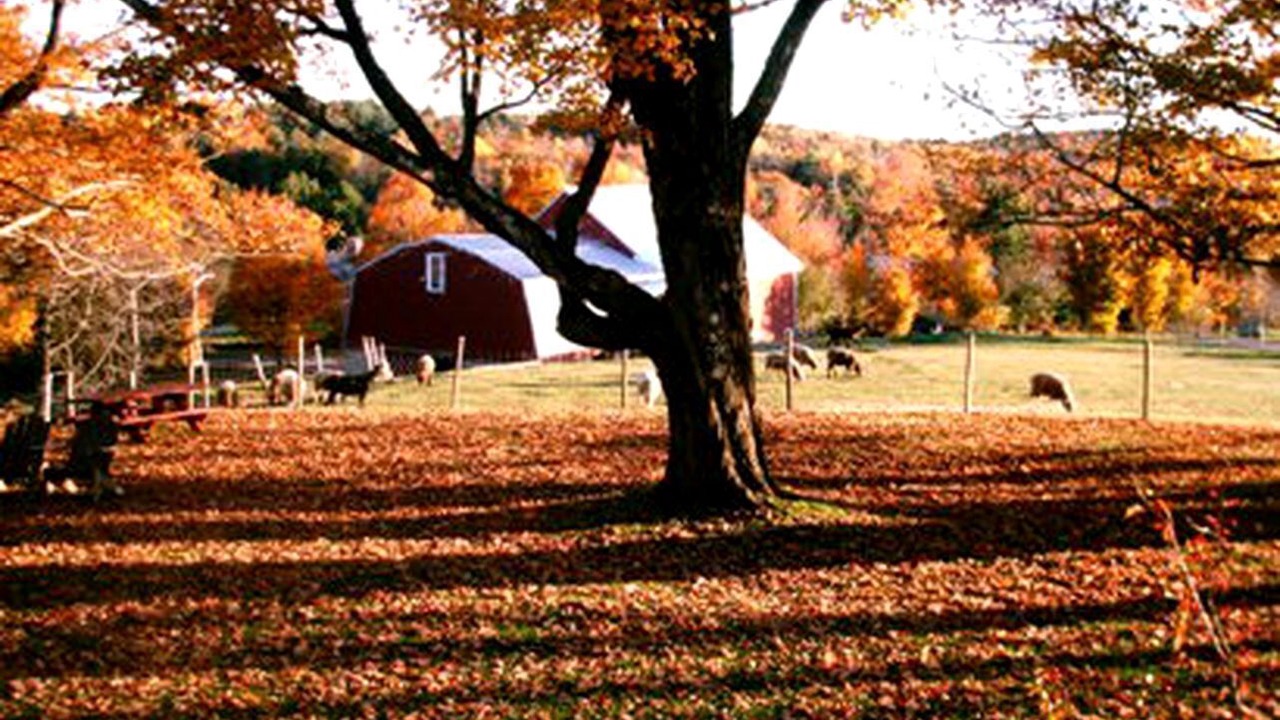 Photo of Others in Hallowell