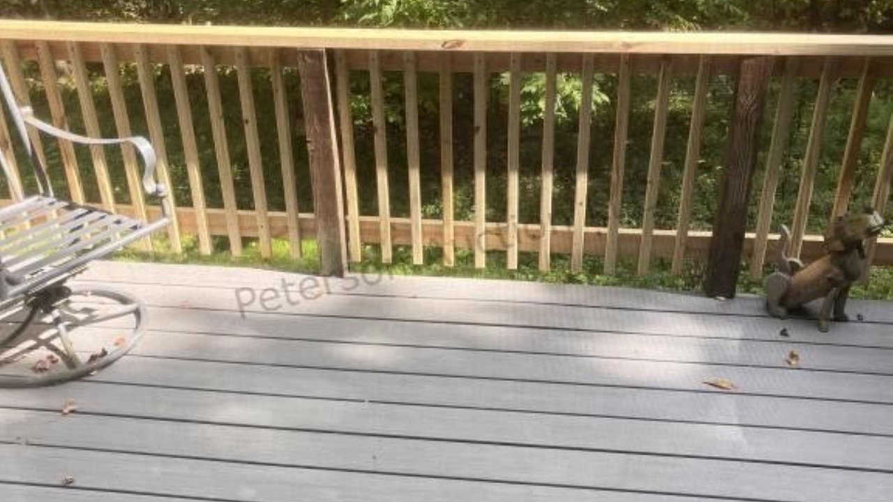 Photo of Outdoor in Russell