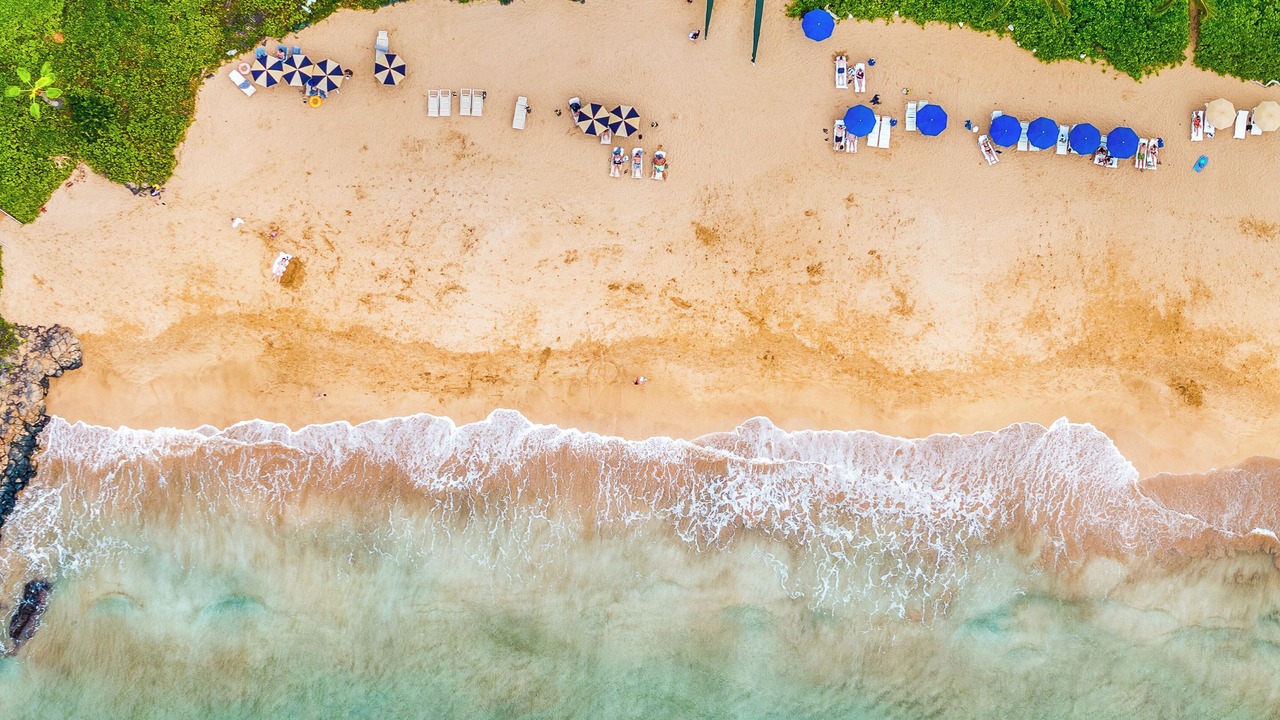 Photo of Others in Wailea