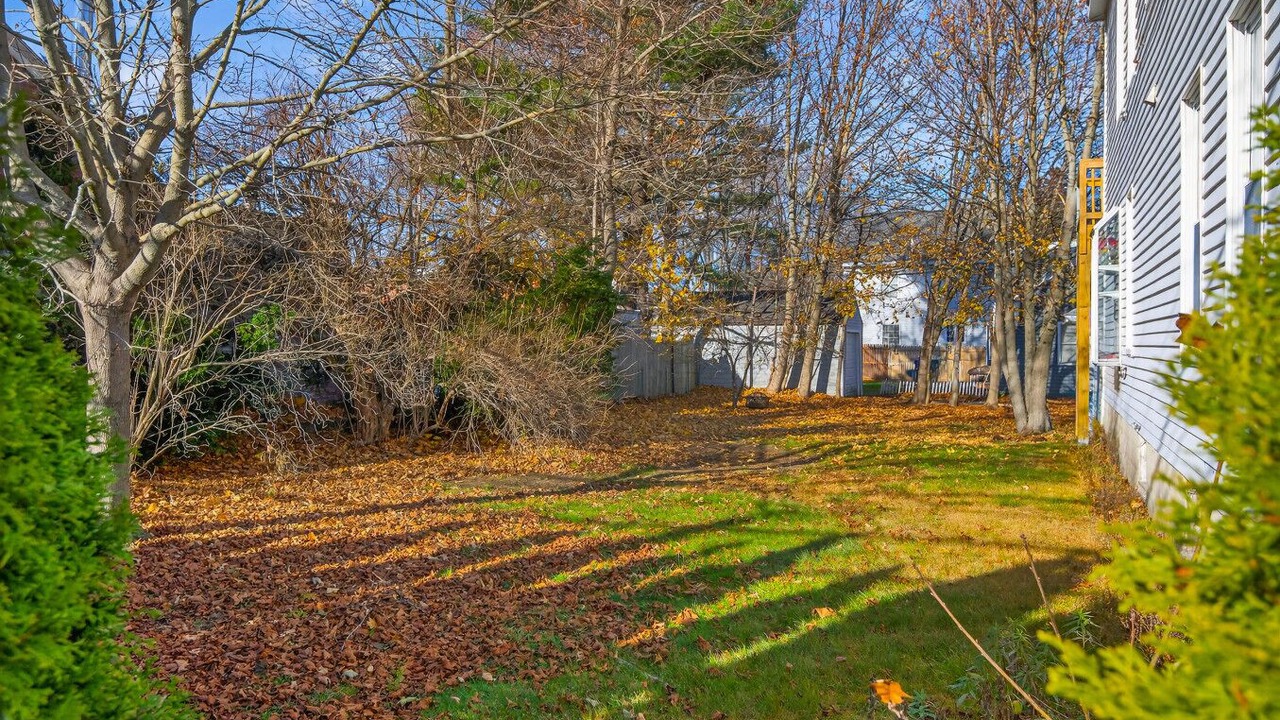 Photo of Outdoor in South Portland