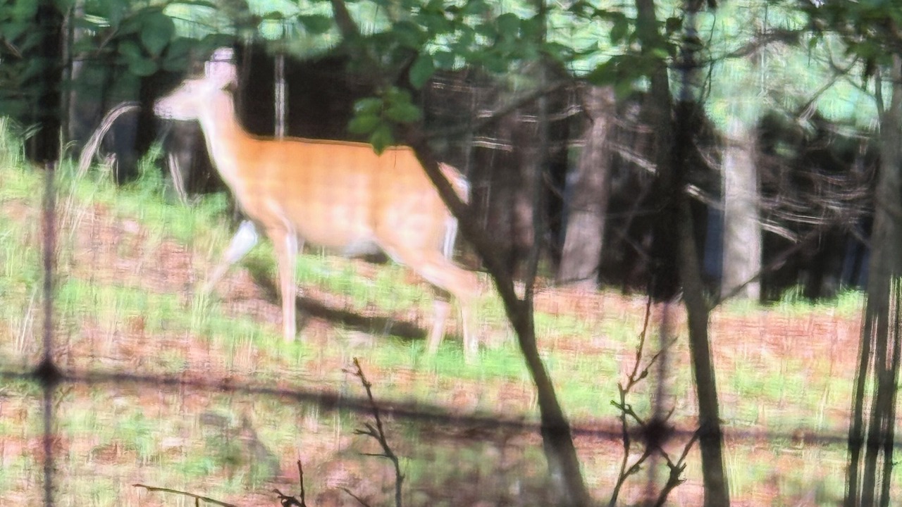 Photo of Others in Murphy