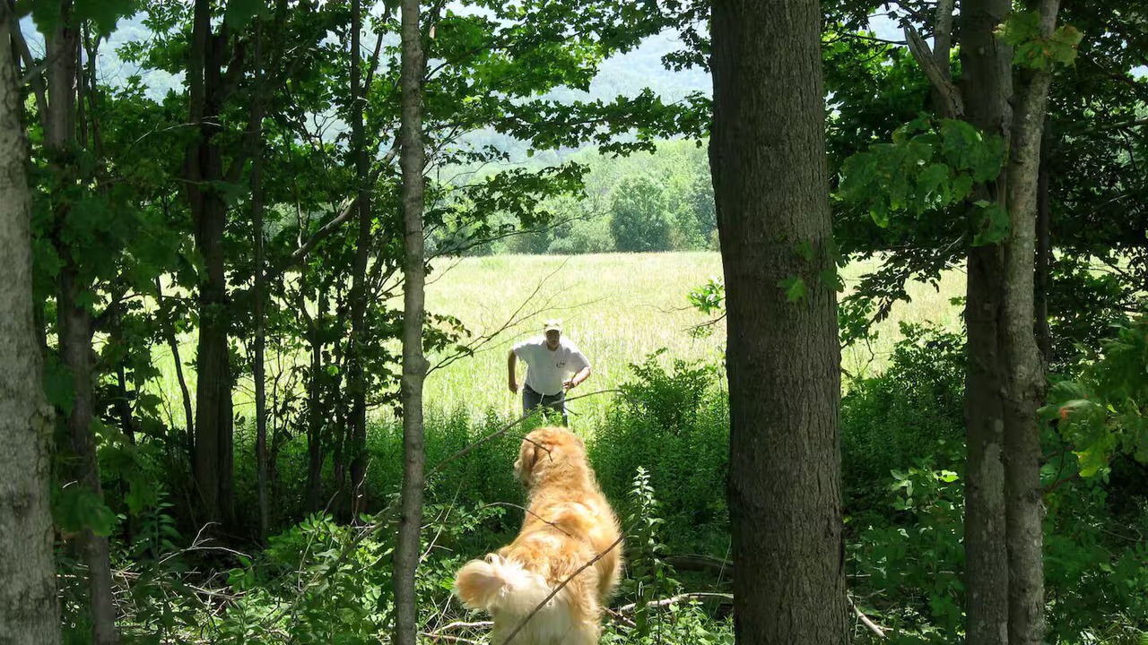 Photo of Others in Richford