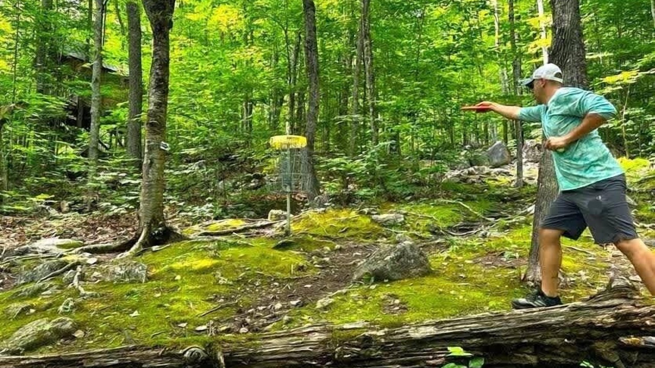 Photo of Others in Stoneham