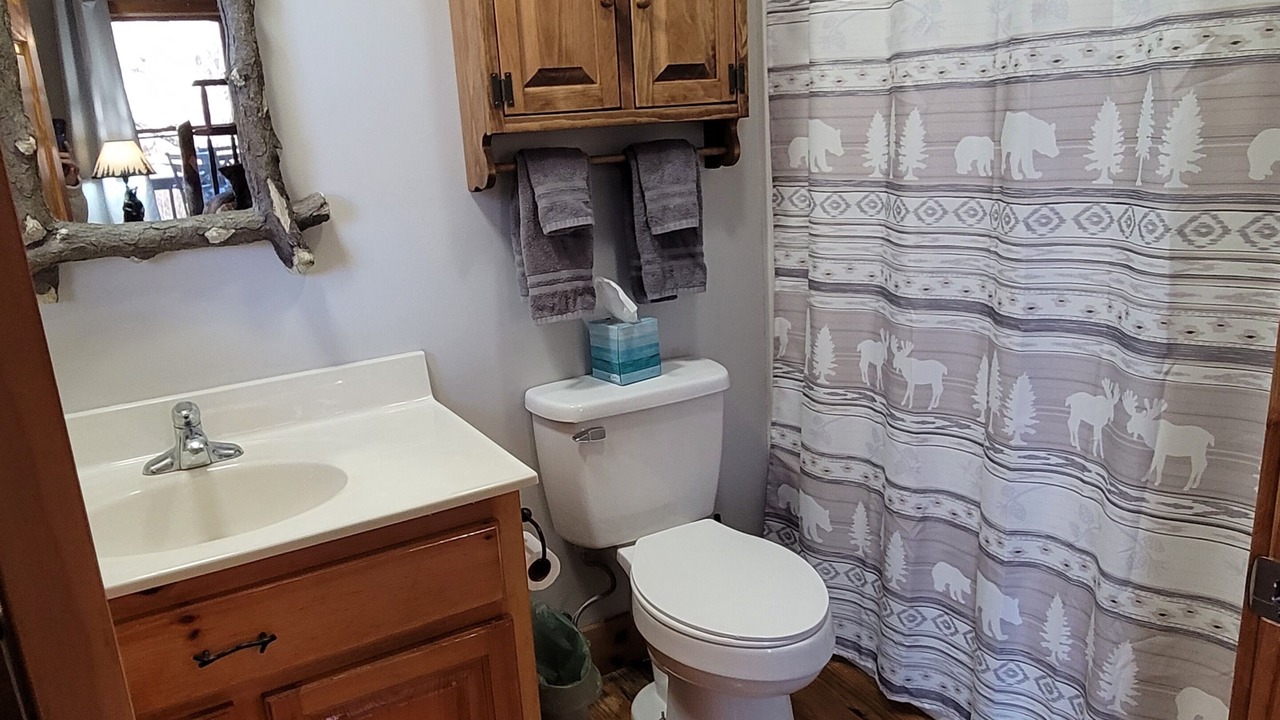 Photo of Bathroom in Hiawassee