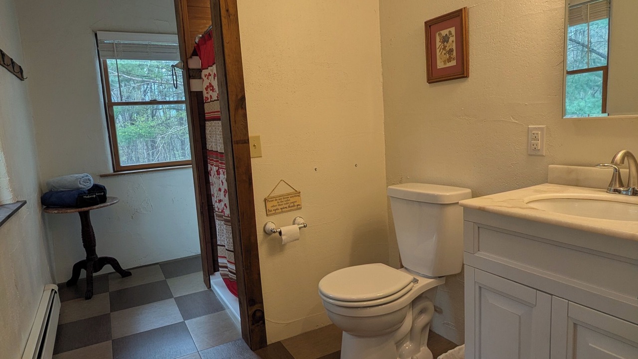 Photo of Bathroom in Hammondsport
