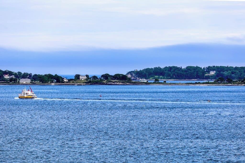 Photo of Others in Munjoy Hill