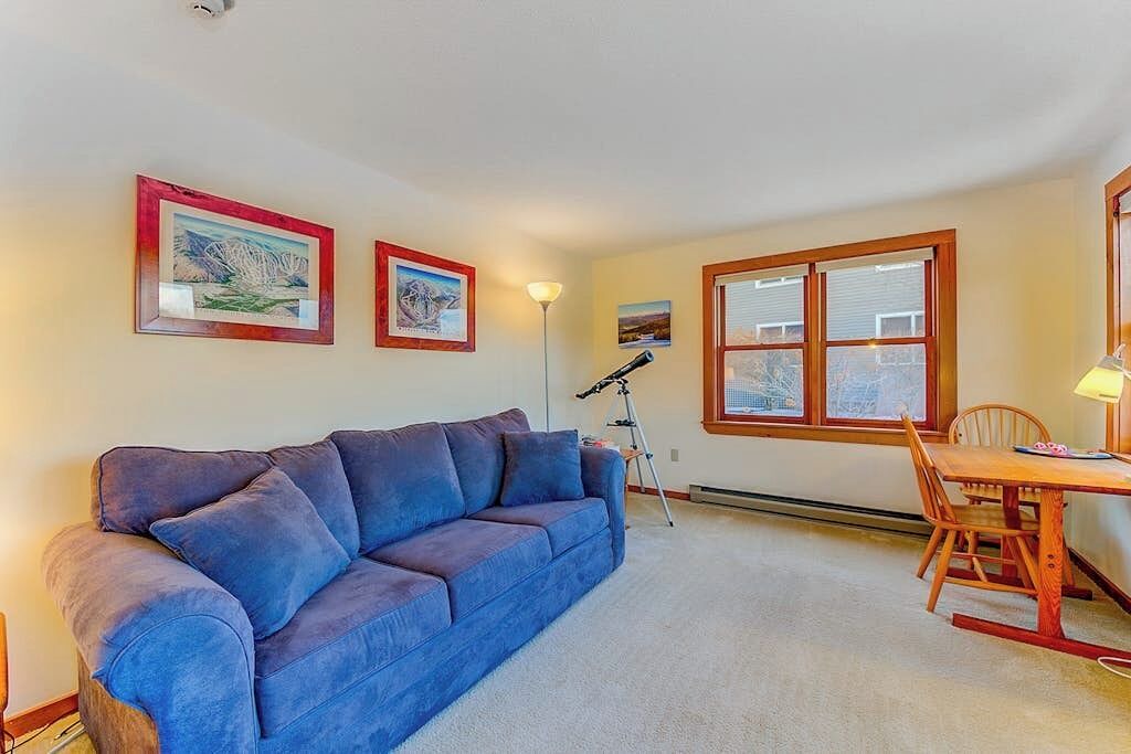 Photo of Livingroom in North Conway