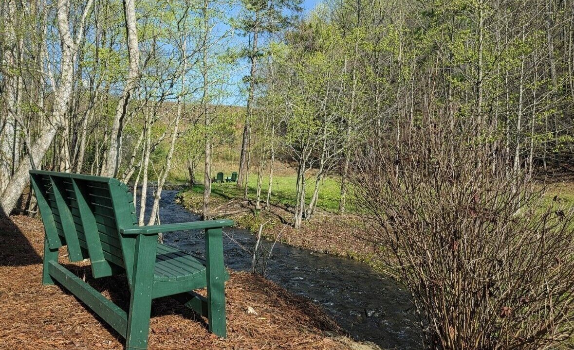 Photo of Outdoor in Ellijay