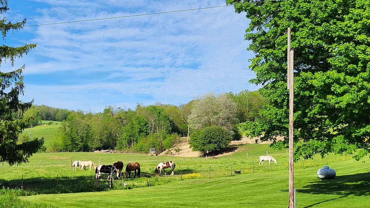 Photo of Others in Black Creek