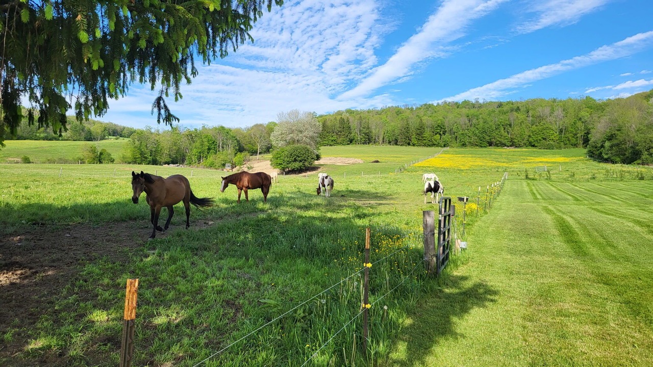 Photo of Others in Black Creek