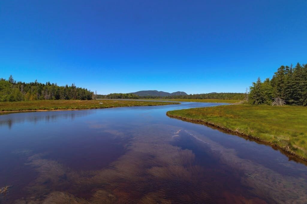 Photo of Others in Mount Desert