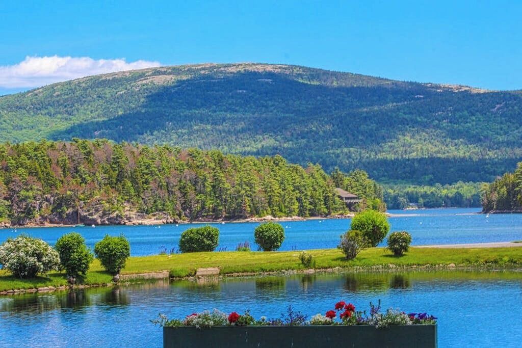Photo of Others in Mount Desert