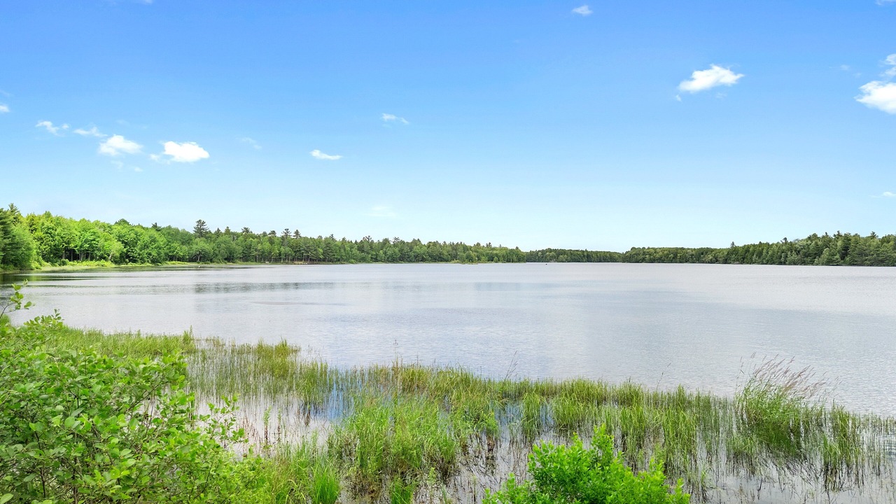 Photo of Others in Mariaville
