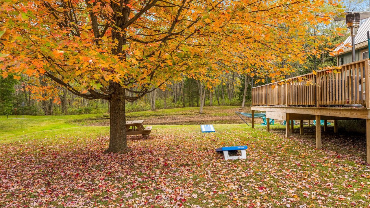 Photo of Outdoor in Branchport
