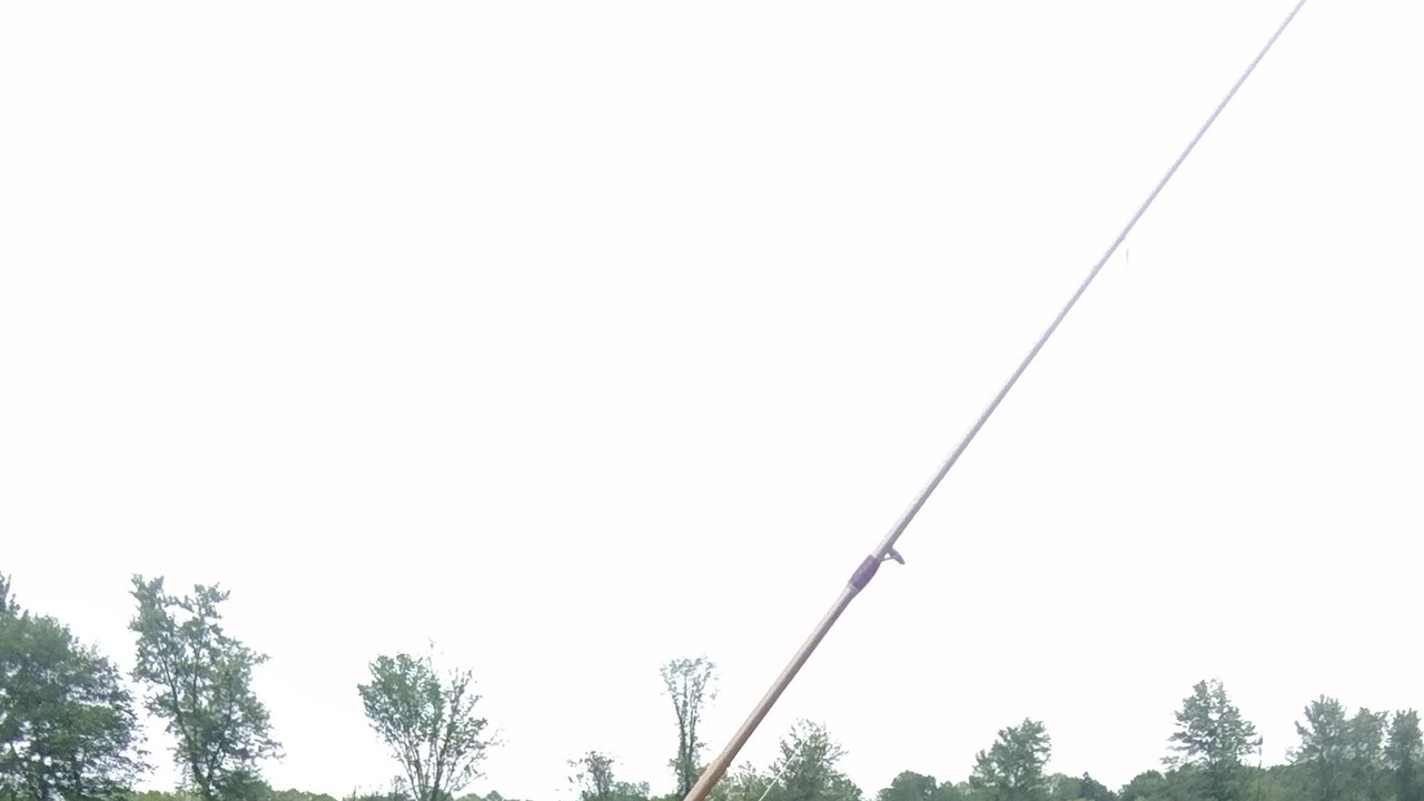 Photo of Others in Portage Lakes