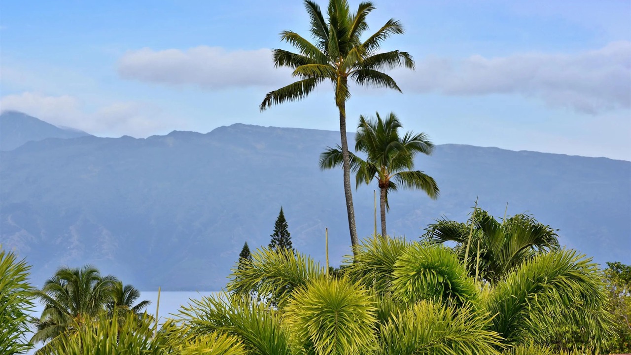 Photo of Others in Napili