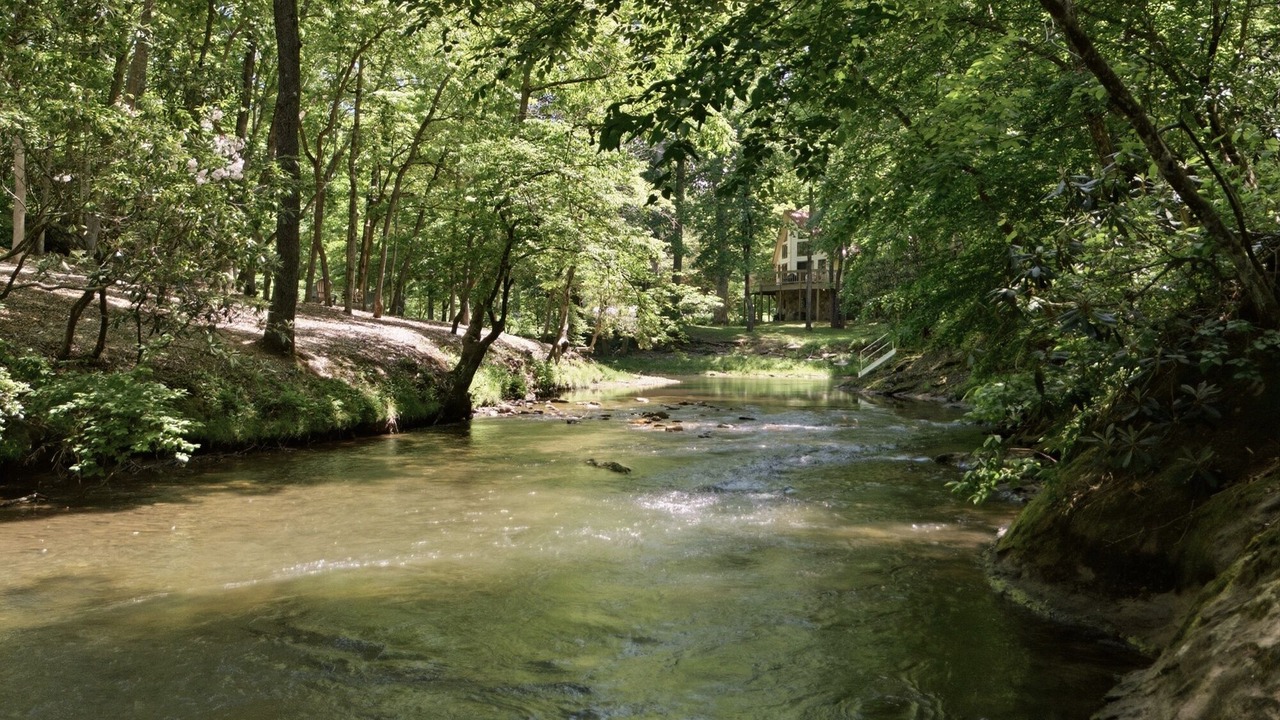 Photo of Others in Hayesville