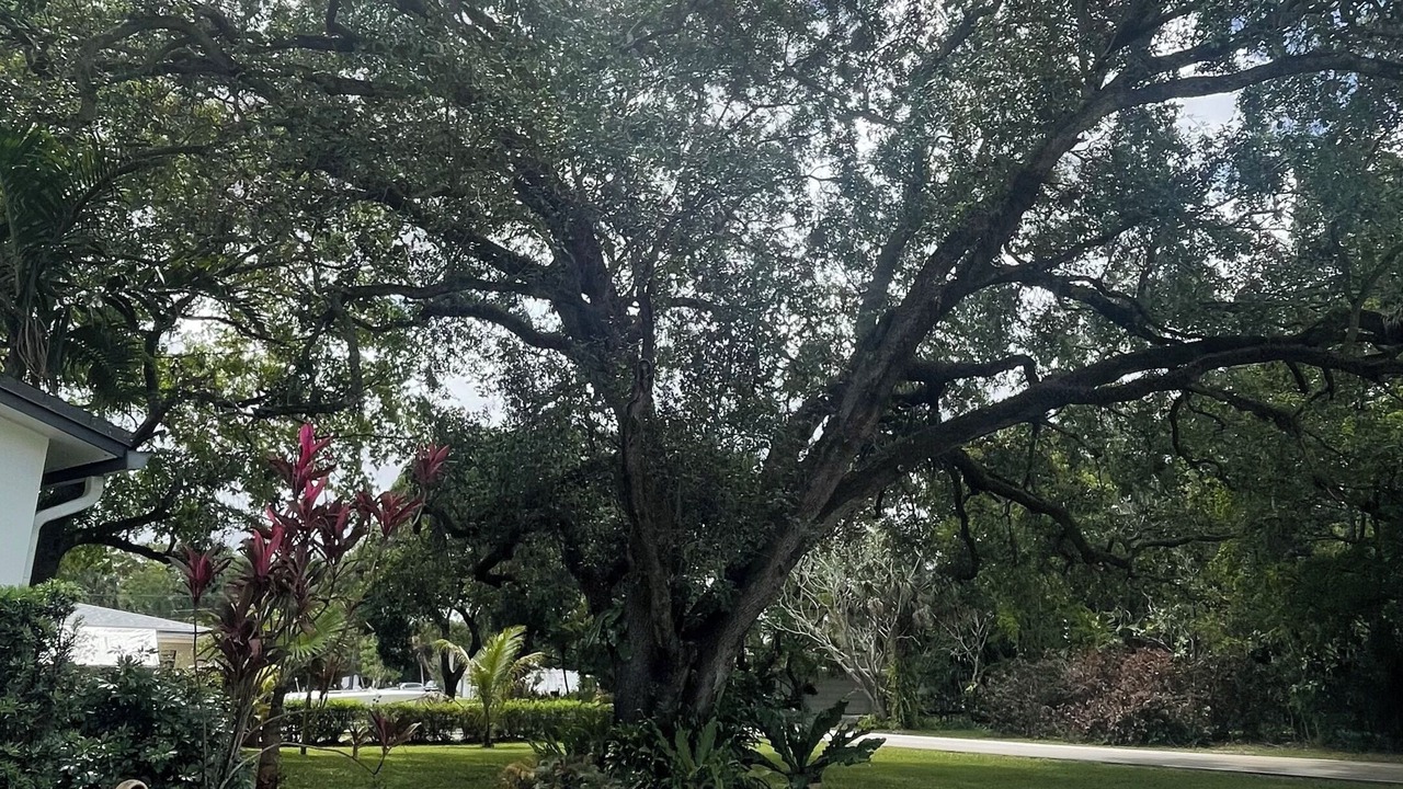 Photo of Outdoor in Plantation