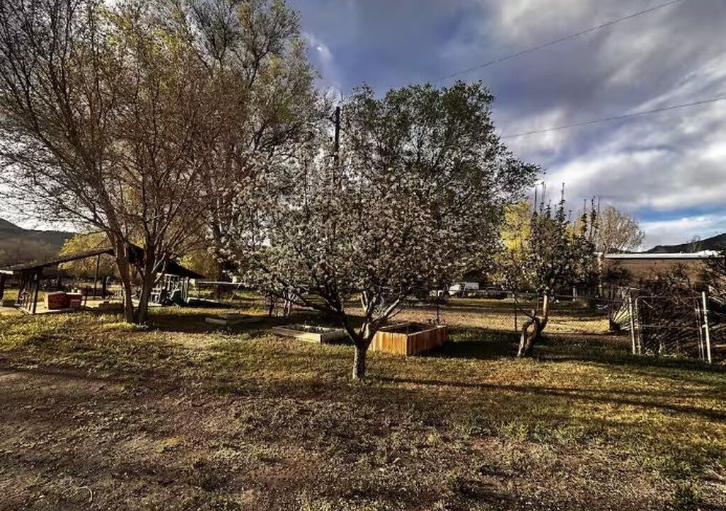 Photo of Outdoor in Price