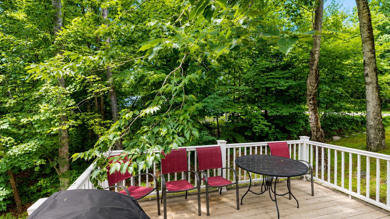 Photo of Outdoor in Intervale