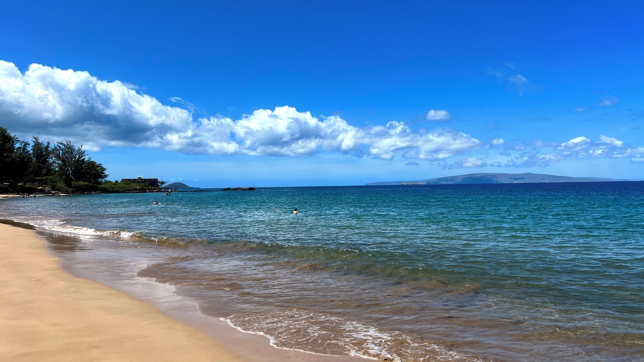 Photo of Others in Kihei