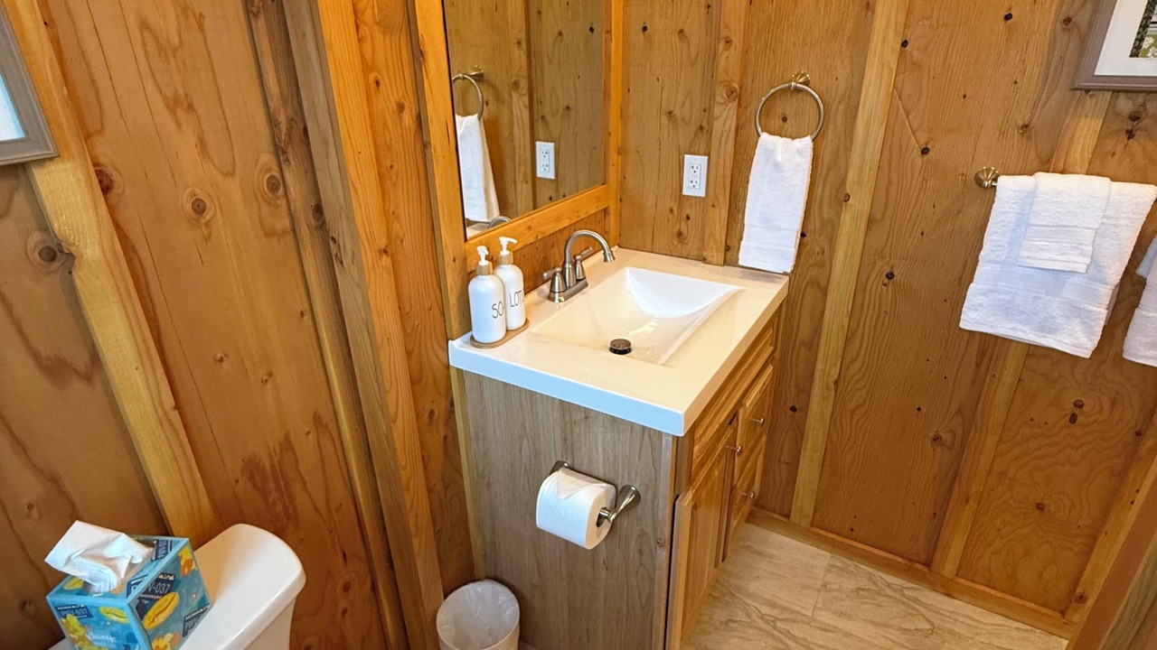 Photo of Bathroom in Homer