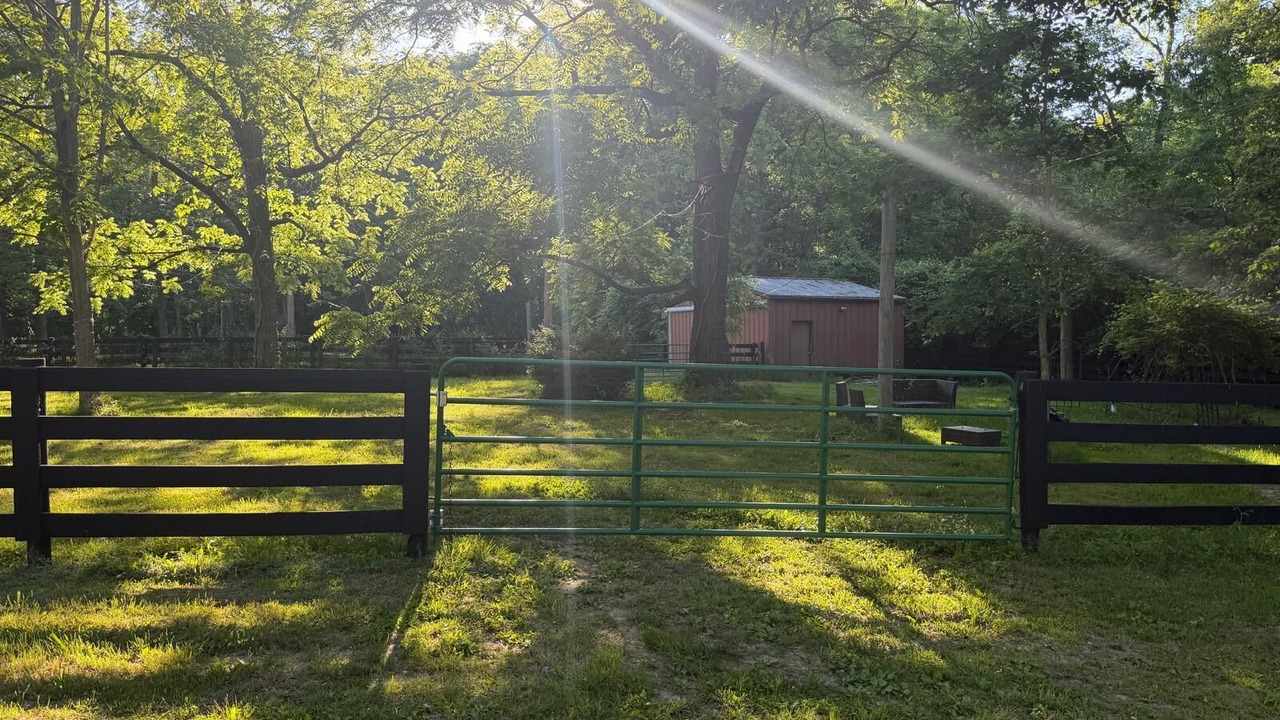 Photo of Outdoor in Delaware